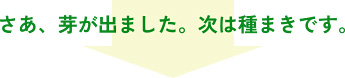 さあ、芽が出ました。次は種まきです。