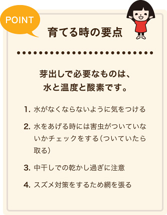 POINT育てる時の要点　芽出しで必要なものは、水と温度と酸素です。　1.水がなくならないように気をつける　2.水をあげる時には害虫がついていないかチェックをする（ついていたら取る）　3.中干しでの乾かし過ぎに注意　4.スズメ対策をするため網を張る