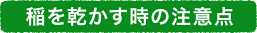 植え替え時の注意点