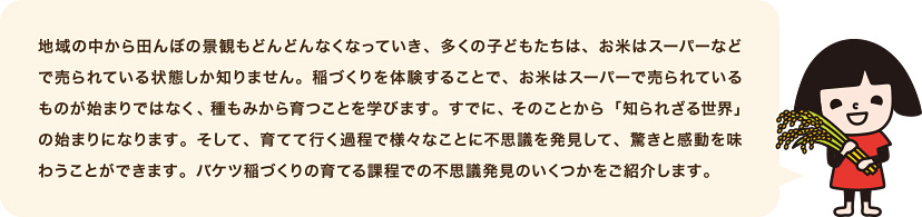 地域の中から田んぼの景観もどんどんなくなっていき、多くの子どもたちは、お米はスーパーなどで売られている状態しか知りません。稲づくりを体験することで、お米はスーパーで売られているものが始まりではなく、種もみから育つことを学びます。すでに、そのことから「知られざる世界」の始まりになります。そして、育てて行く過程で様々なことに不思議を発見して、驚きと感動を味わうことができます。バケツ稲づくりの育てる課程での不思議発見のいくつかをご紹介します。