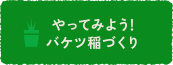 やってみよう!バケツ稲づくり