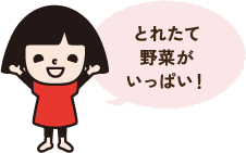 とれたて野菜がいっぱい!