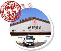 伊都菜彩