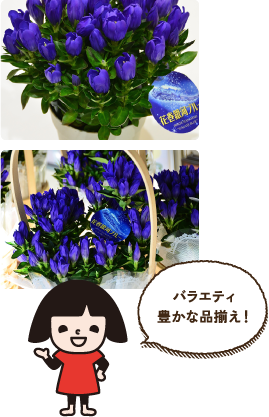 バラエティ豊かな品揃え！