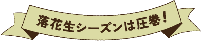 落花生シーズンは圧巻！