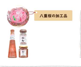 八重桜の加工品