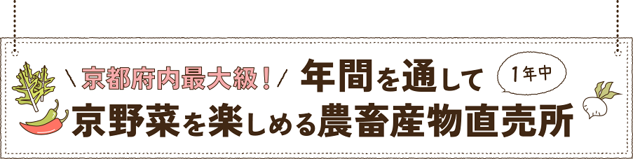 京都府内最大級！年間を通して京野菜を楽しめる農畜産物直売所