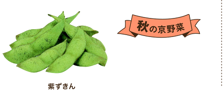 秋の京野菜