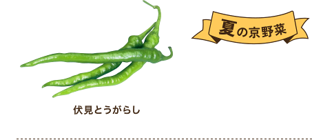 夏の京野菜