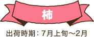 柿 出荷時期：7月下旬～2月
