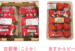 左：古都華（ことか）／右：あすかルビー