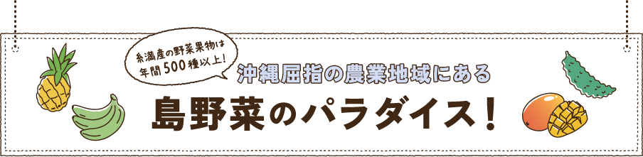 糸満産の野菜果物は年間500種以上！沖縄屈指の農業地域にある島野菜のパラダイス！