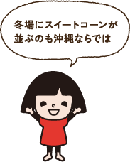 冬場にスイートコーンが並ぶのも沖縄ならでは