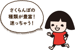 さくらんぼの種類が豊富!迷っちゃう!