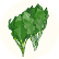 ほうれん草