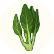 こまつな