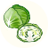 キャベツ