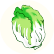 白菜