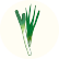 ねぎ・にら