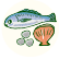 魚貝類