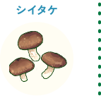 シイタケ