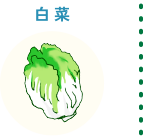 白菜