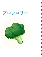 ブロッコリー
