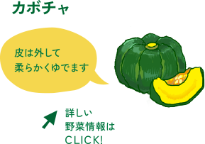 カボチャ