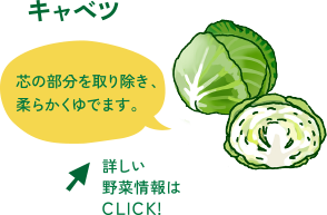 キャベツ