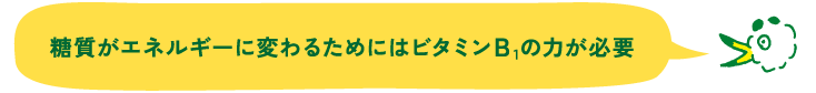 糖質がエネルギーに変わるためにはビタミンＢ1の力が必要