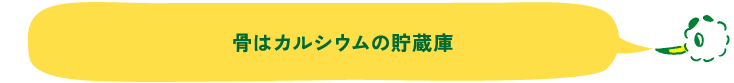 骨はカルシウムの貯蔵庫