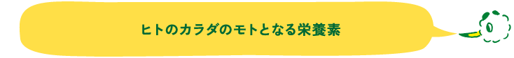 ヒトのカラダのモトとなる栄養素