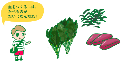 血をつくるには、たべものがだいじなんだね！