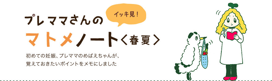 イッキ見!プレママさんのマトメノート<春夏>