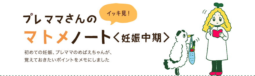 イッキ見！プレママさんのマトメノート＜妊娠中期＞