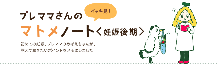 イッキ見!プレママさんのマトメノート<妊娠中期>