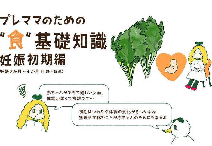 プレママのための“食”基礎知識　妊娠初期編　妊娠2か月～4か月（4週～15週）