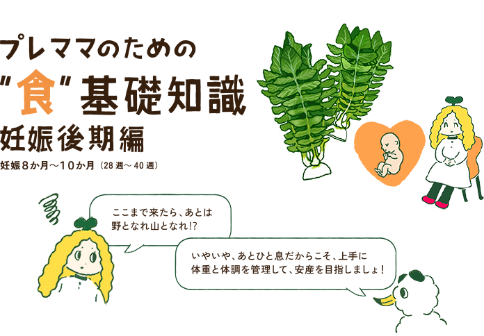 プレママのための“食”基礎知識　妊娠後期編　妊娠8か月～10かヵ月（28週～40週）