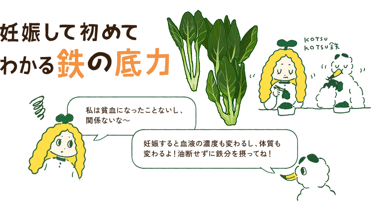 妊娠して初めてわかる 鉄の底力