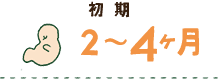 初期 2～4ヶ月