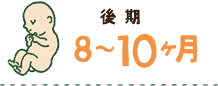 後期 8～10ヶ月