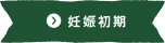 妊娠初期