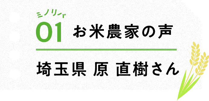 ミノリバ01 お米農家の声 埼玉県 原 直樹さん