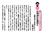 石垣島のお米作り