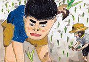 「みんなでお米をそだてたよ」