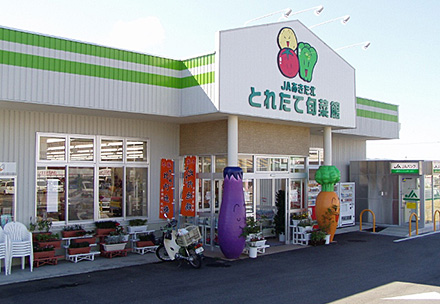 とれたて旬菜館