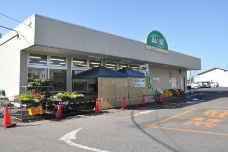山武緑の風東金店の写真