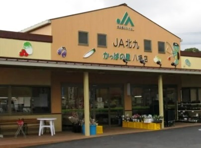 かっぱの里　八幡店