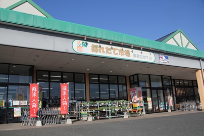 採れたて市場の写真