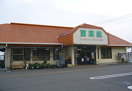 百菜館